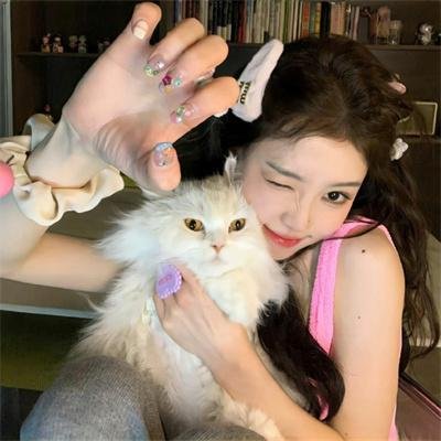 藏獒多吉